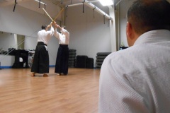 2014 Itto den Shinki Toho - Kenjutsu