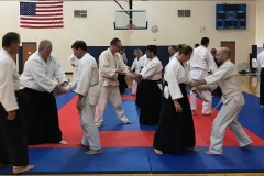 Seminar 2019 Shinki Aiki-Budo in Mt. Pleasant