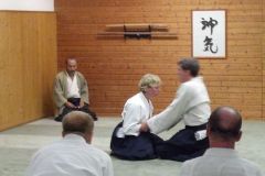 Shinki Aikido in Germany 2013